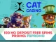 Бездепозитные бесплатные вращения в казино Cat Casino